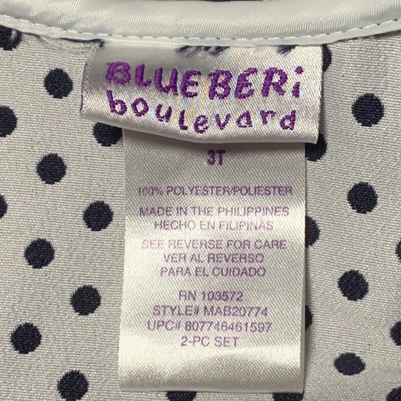 BlueBeri Boulevard Toddlers Dress and Coat, EUC (Wore Once), Size 3T - Picture 4 of 9